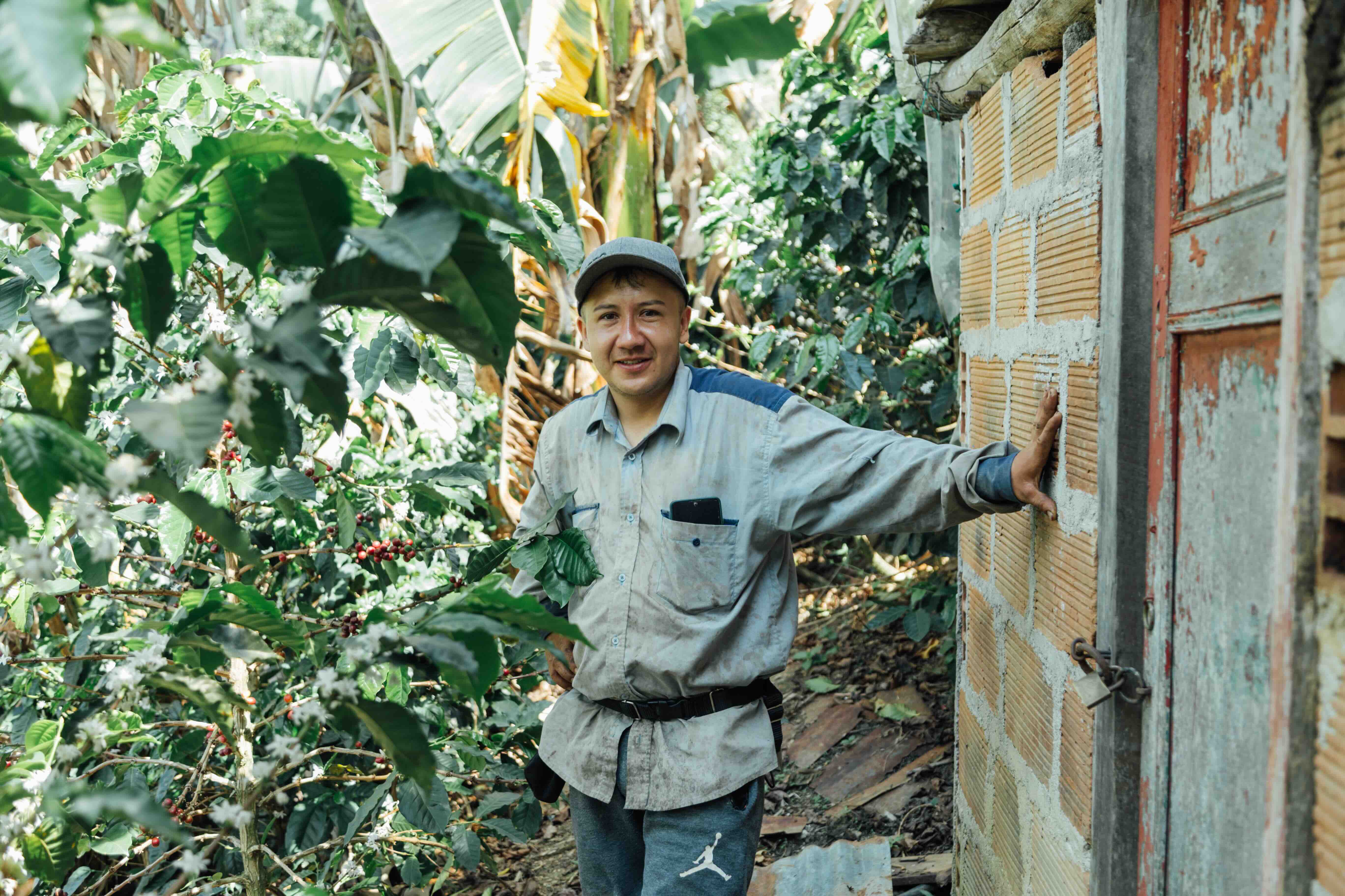 Colombia Sonson Black Honey Single Origin | Portrait Coffee