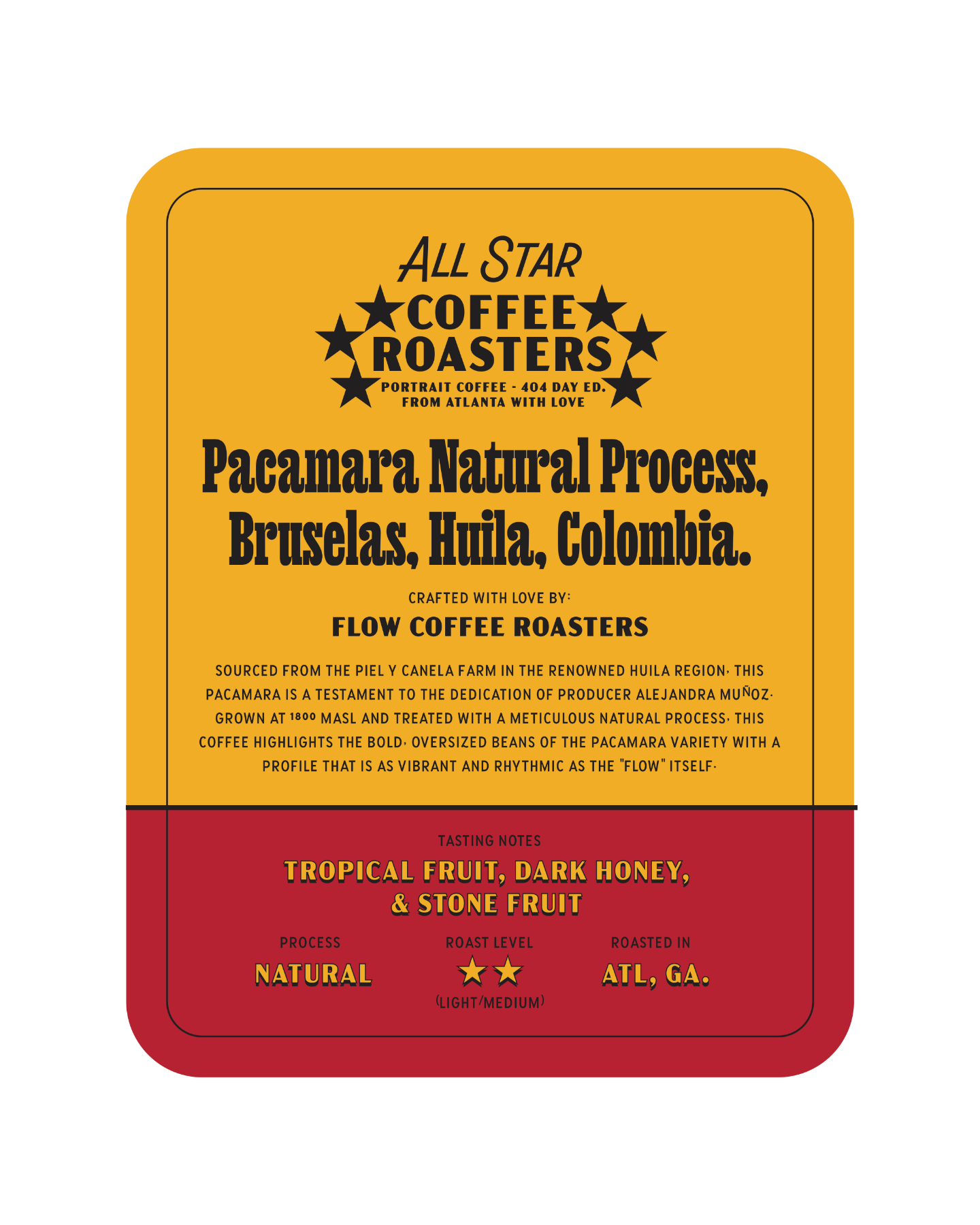 404 All-Star Coffee Capsule – Portrait Coffee