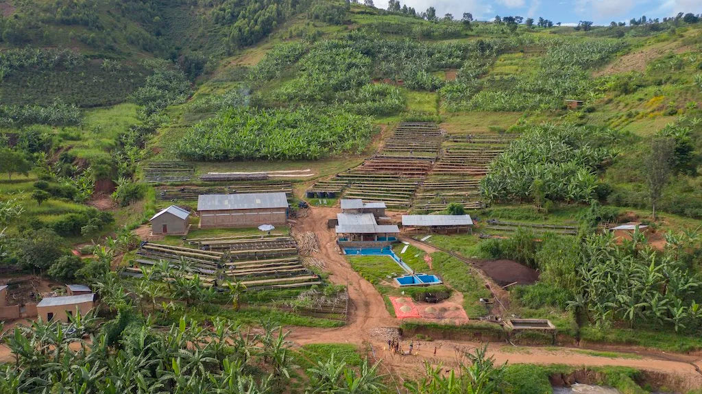 Aerial view of the Humure Washing Station, Eastern Province, Rwanda